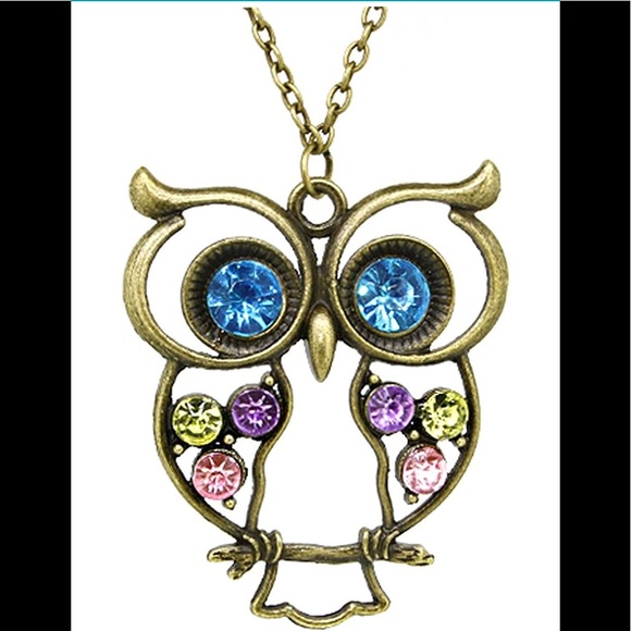 Jewelry - 🦉 Crystal Owl Pendant and Long Chain Necklace NWT
